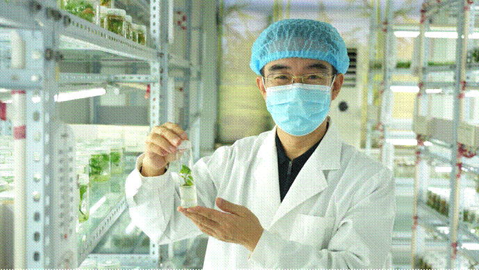 Bodog����-�����ɾͷǷ�,����Ʒ������