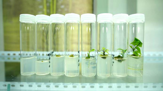 Bodog����-�����ɾͷǷ�,����Ʒ������