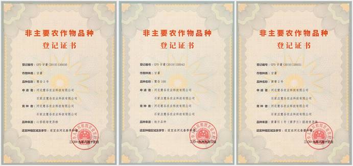 Bodog����-�����ɾͷǷ�,����Ʒ������