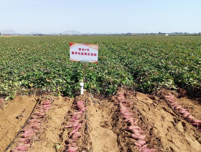 Bodog����-�����ɾͷǷ�,����Ʒ������