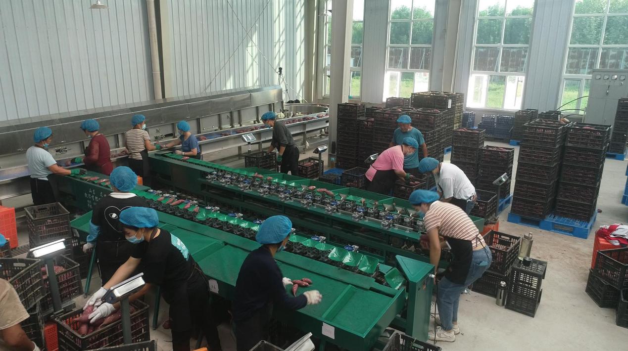 Bodog����-�����ɾͷǷ�,����Ʒ������