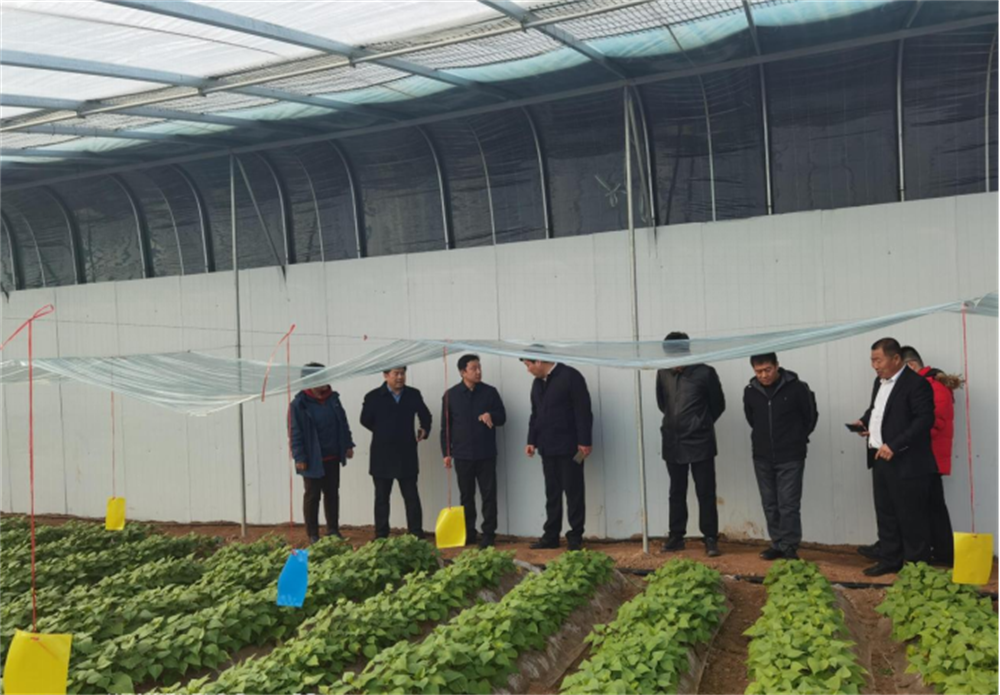 Bodog����-�����ɾͷǷ�,����Ʒ������