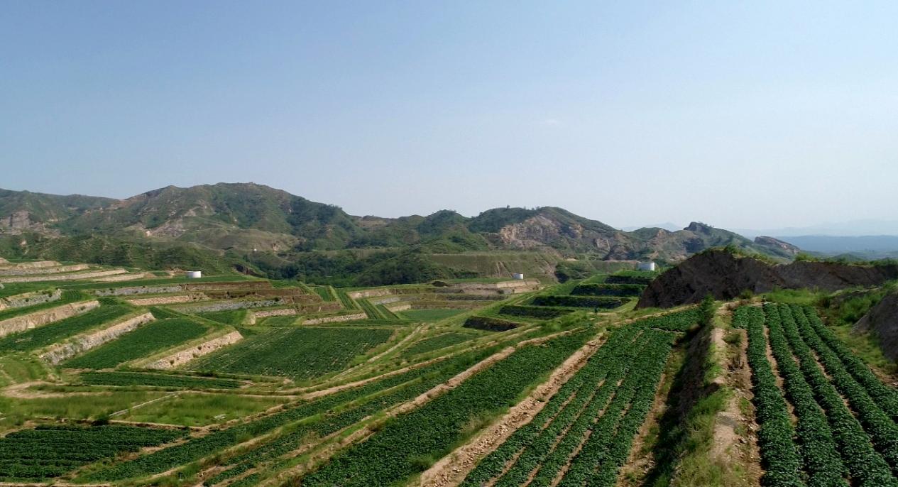 Bodog����-�����ɾͷǷ�,����Ʒ������