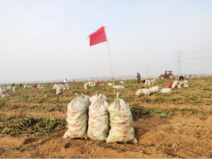 Bodog����-�����ɾͷǷ�,����Ʒ������