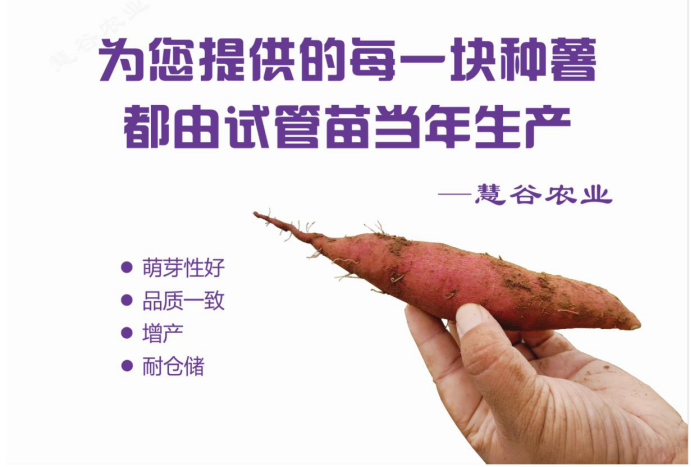 Bodog����-�����ɾͷǷ�,����Ʒ������