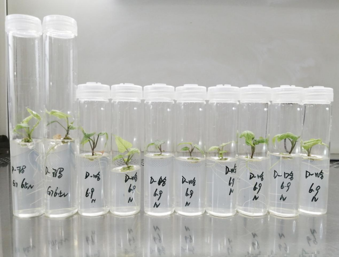 Bodog����-�����ɾͷǷ�,����Ʒ������