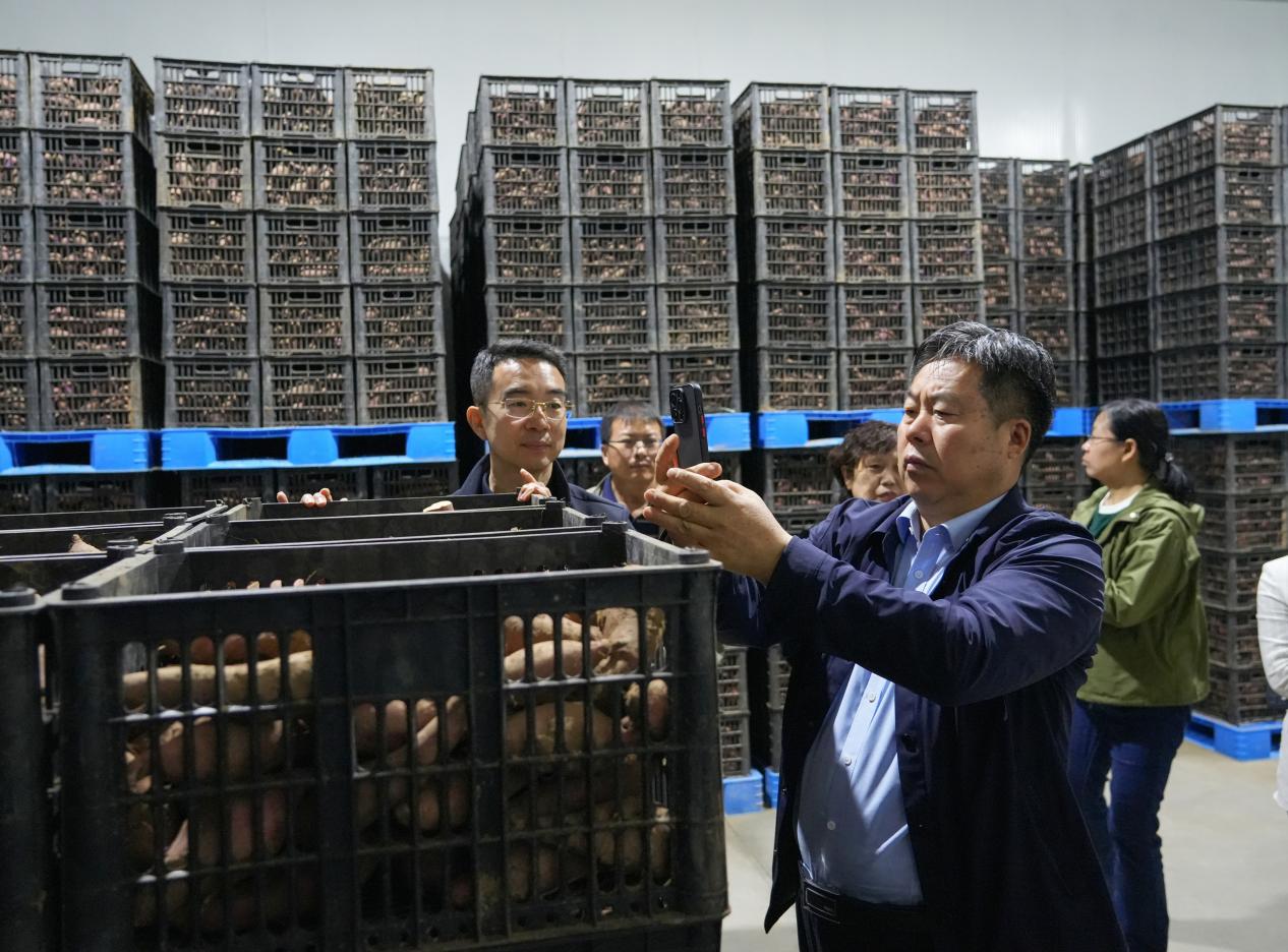 Bodog����-�����ɾͷǷ�,����Ʒ������