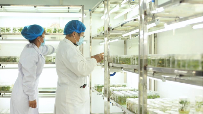 Bodog����-�����ɾͷǷ�,����Ʒ������