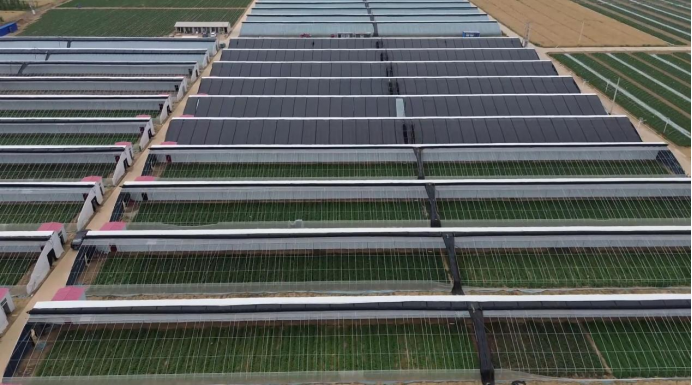 Bodog����-�����ɾͷǷ�,����Ʒ������