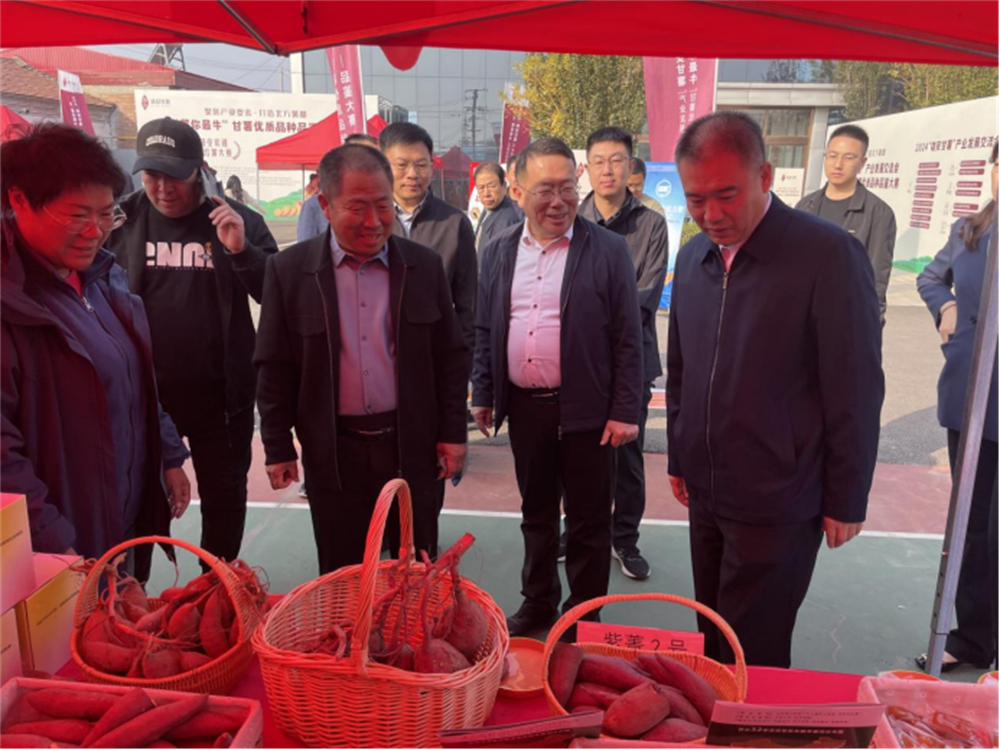 Bodog����-�����ɾͷǷ�,����Ʒ������