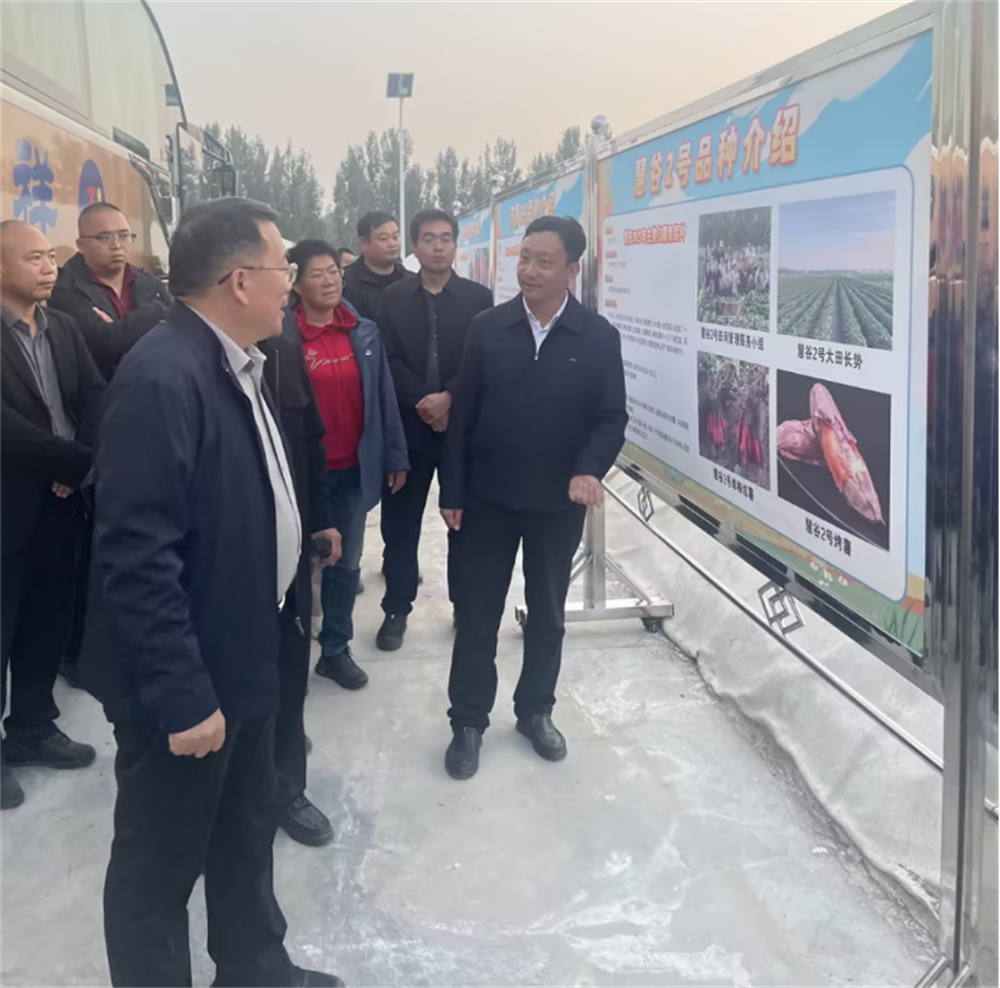 Bodog����-�����ɾͷǷ�,����Ʒ������