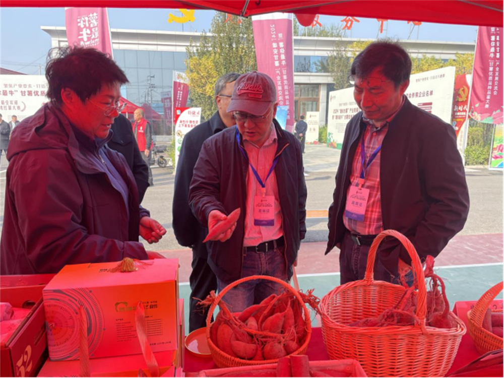 Bodog����-�����ɾͷǷ�,����Ʒ������