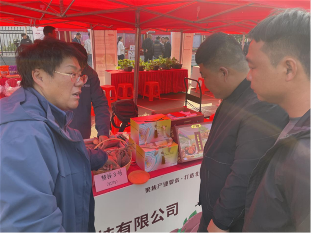 Bodog����-�����ɾͷǷ�,����Ʒ������