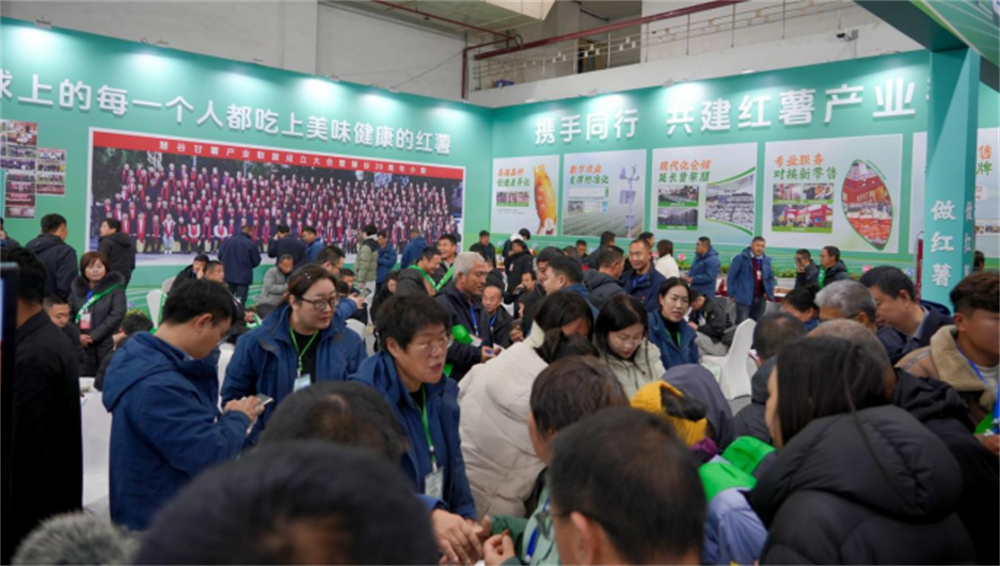 Bodog����-�����ɾͷǷ�,����Ʒ������