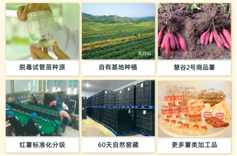 Bodog����-�����ɾͷǷ�,����Ʒ������