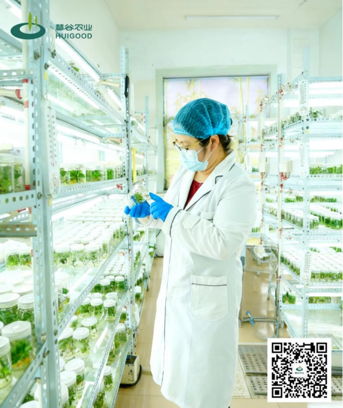 Bodog����-�����ɾͷǷ�,����Ʒ������