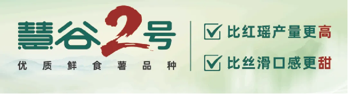 Bodog����-�����ɾͷǷ�,����Ʒ������