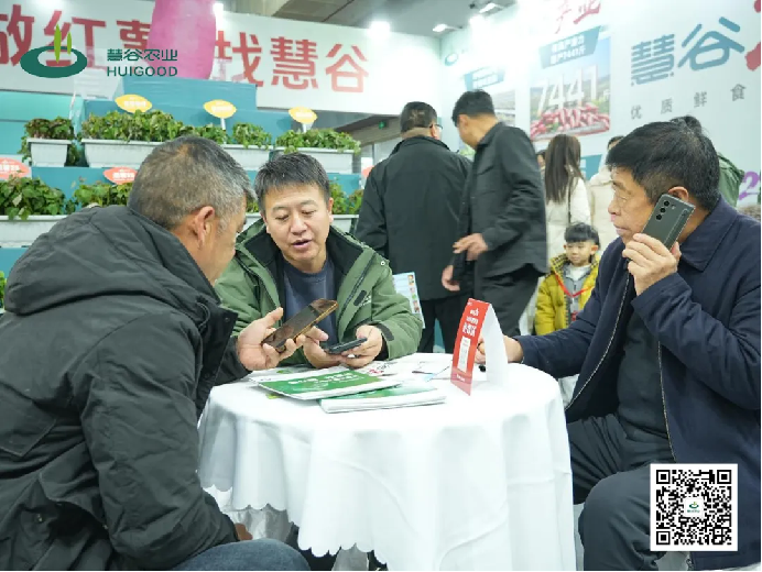 Bodog����-�����ɾͷǷ�,����Ʒ������