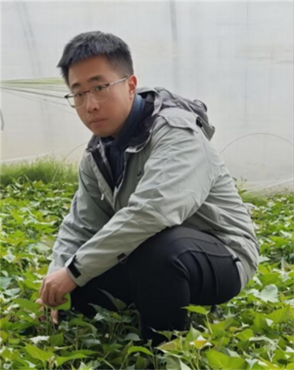 Bodog����-�����ɾͷǷ�,����Ʒ������