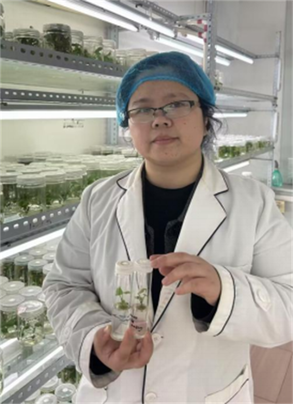 Bodog����-�����ɾͷǷ�,����Ʒ������