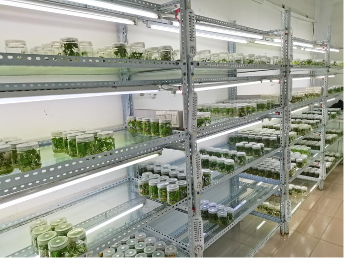 Bodog����-�����ɾͷǷ�,����Ʒ������