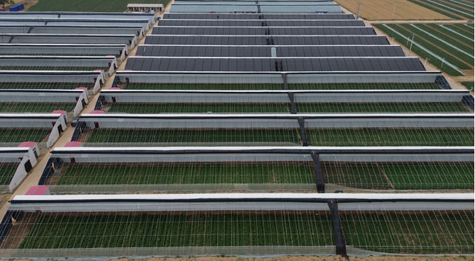 Bodog����-�����ɾͷǷ�,����Ʒ������