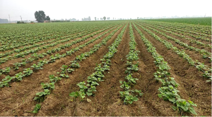 Bodog����-�����ɾͷǷ�,����Ʒ������