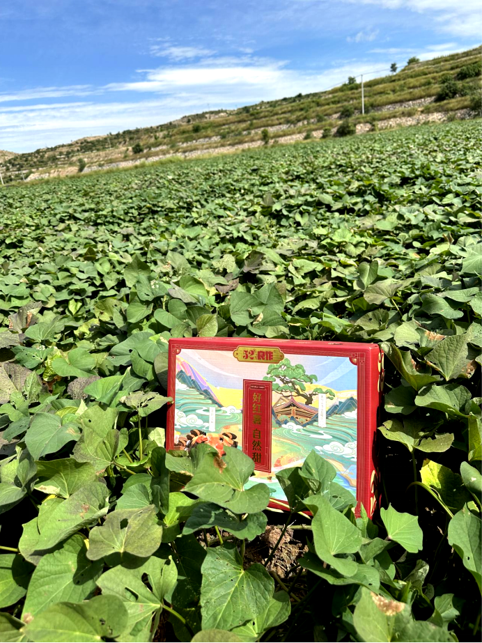 Bodog����-�����ɾͷǷ�,����Ʒ������