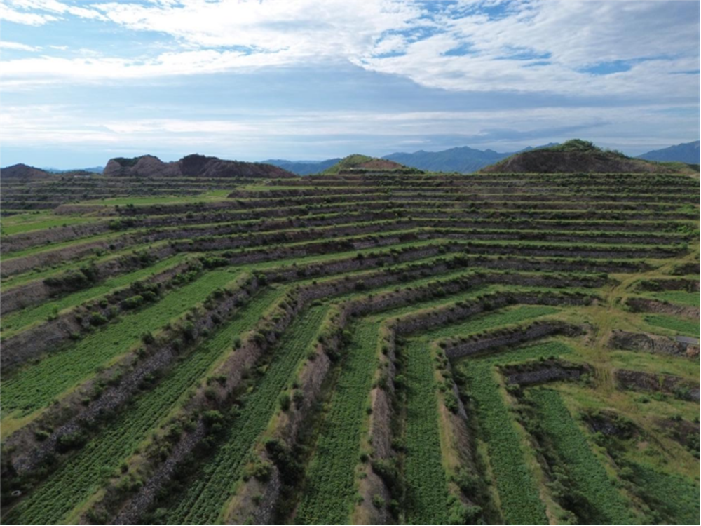 Bodog����-�����ɾͷǷ�,����Ʒ������