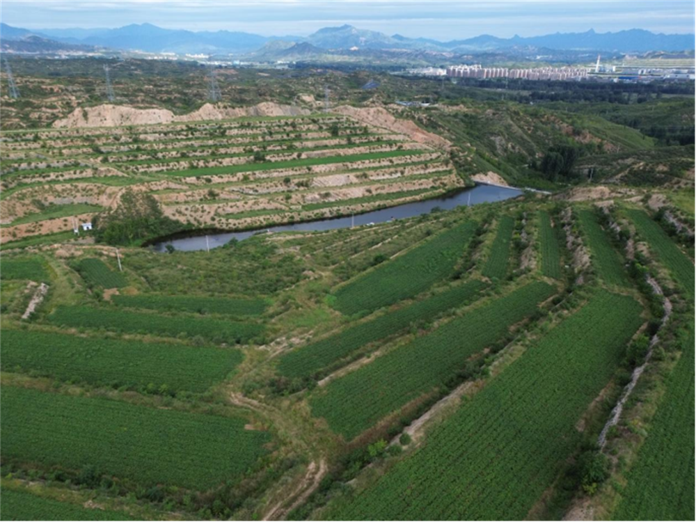 Bodog����-�����ɾͷǷ�,����Ʒ������