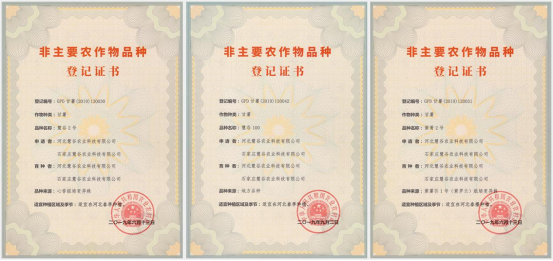 Bodog����-�����ɾͷǷ�,����Ʒ������