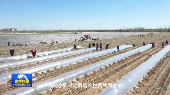 Bodog����-�����ɾͷǷ�,����Ʒ������