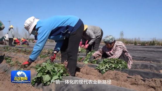 Bodog����-�����ɾͷǷ�,����Ʒ������