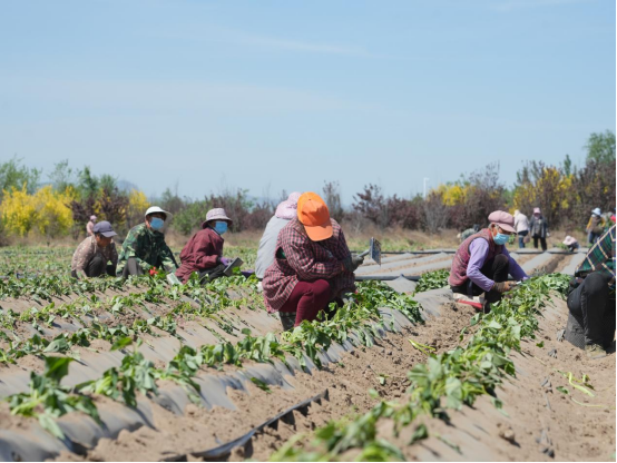 Bodog����-�����ɾͷǷ�,����Ʒ������