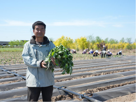 Bodog����-�����ɾͷǷ�,����Ʒ������