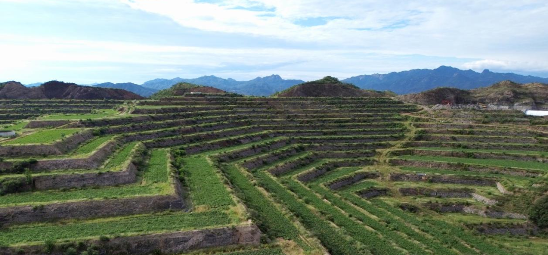 Bodog����-�����ɾͷǷ�,����Ʒ������