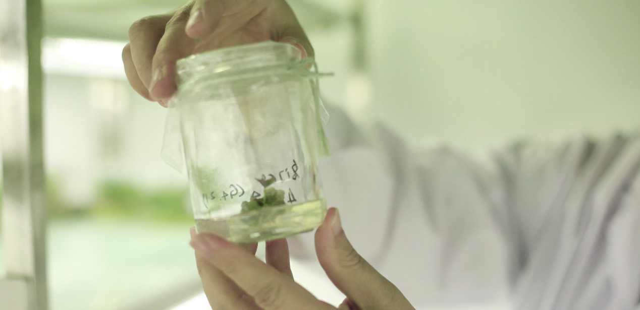 Bodog����-�����ɾͷǷ�,����Ʒ������