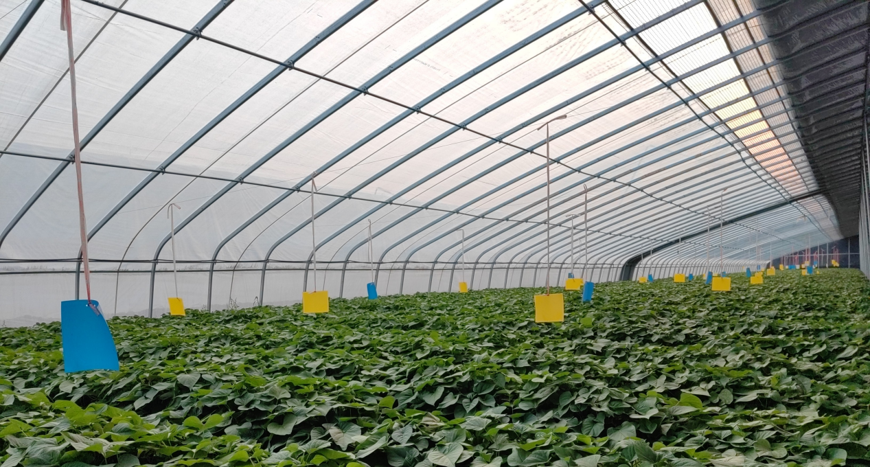 Bodog����-�����ɾͷǷ�,����Ʒ������