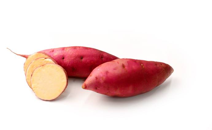 Bodog����-�����ɾͷǷ�,����Ʒ������