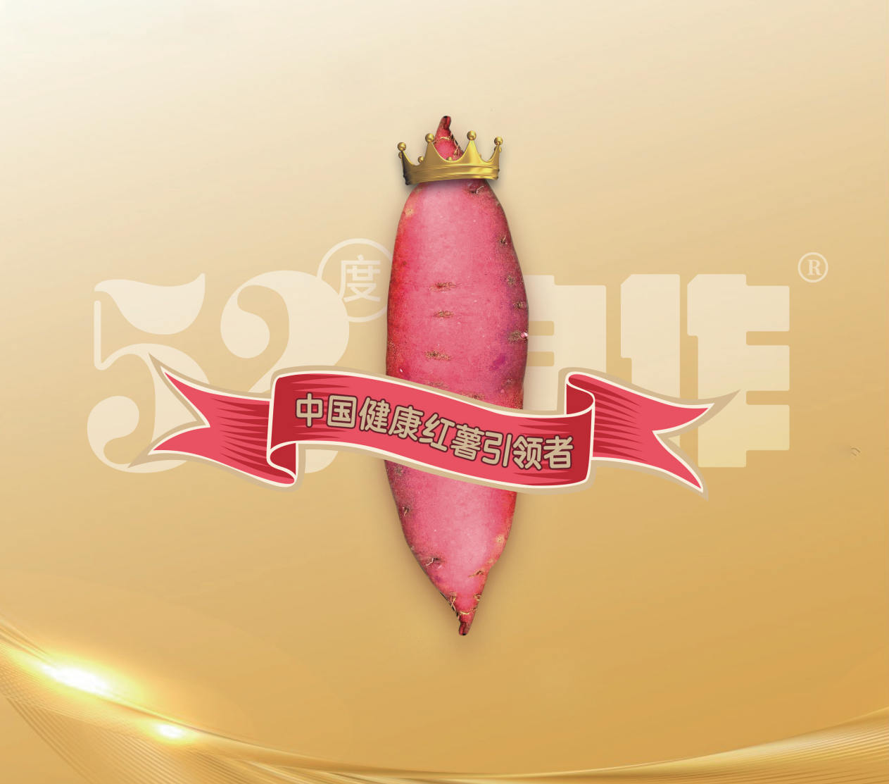 Bodog����-�����ɾͷǷ�,����Ʒ������