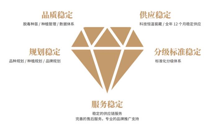 Bodog����-�����ɾͷǷ�,����Ʒ������