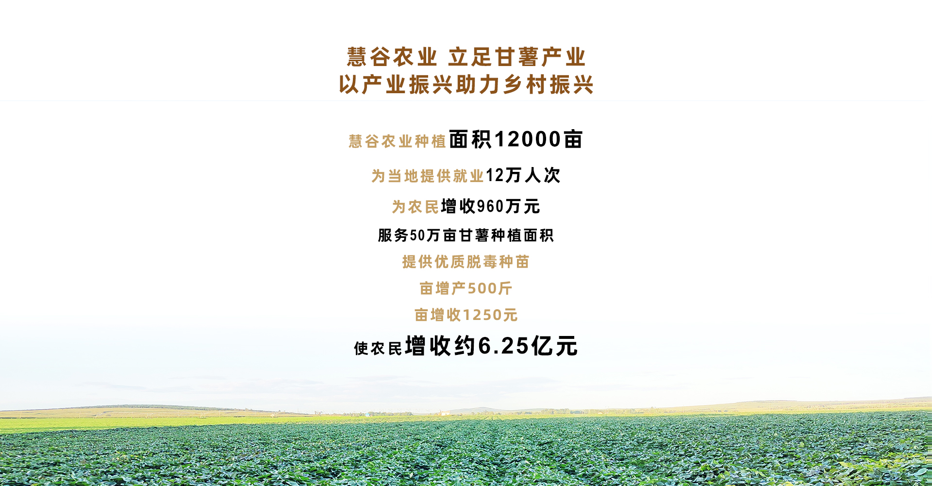 Bodog����-�����ɾͷǷ�,����Ʒ������