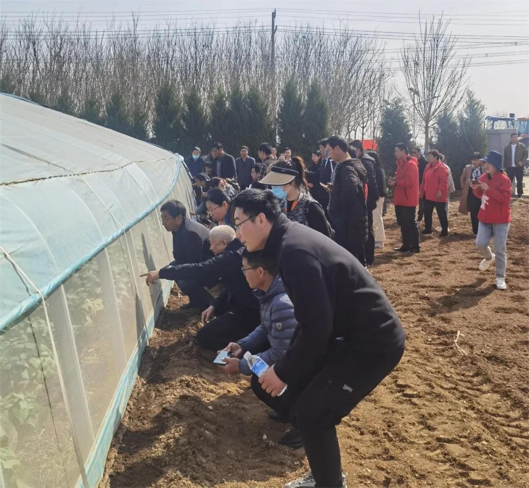 Bodog����-�����ɾͷǷ�,����Ʒ������