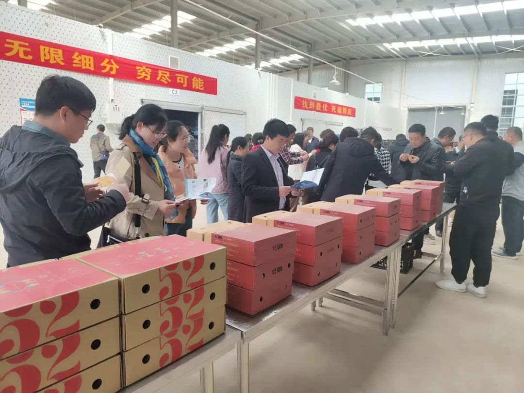 Bodog����-�����ɾͷǷ�,����Ʒ������