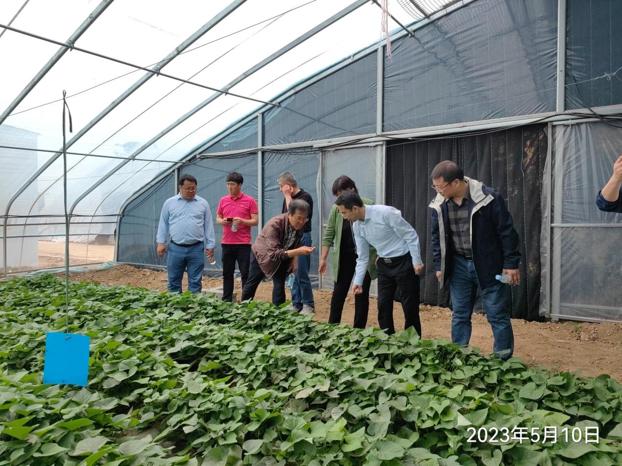 Bodog����-�����ɾͷǷ�,����Ʒ������