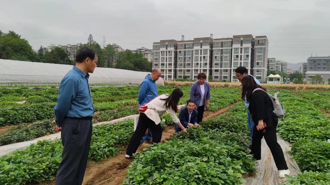 Bodog����-�����ɾͷǷ�,����Ʒ������