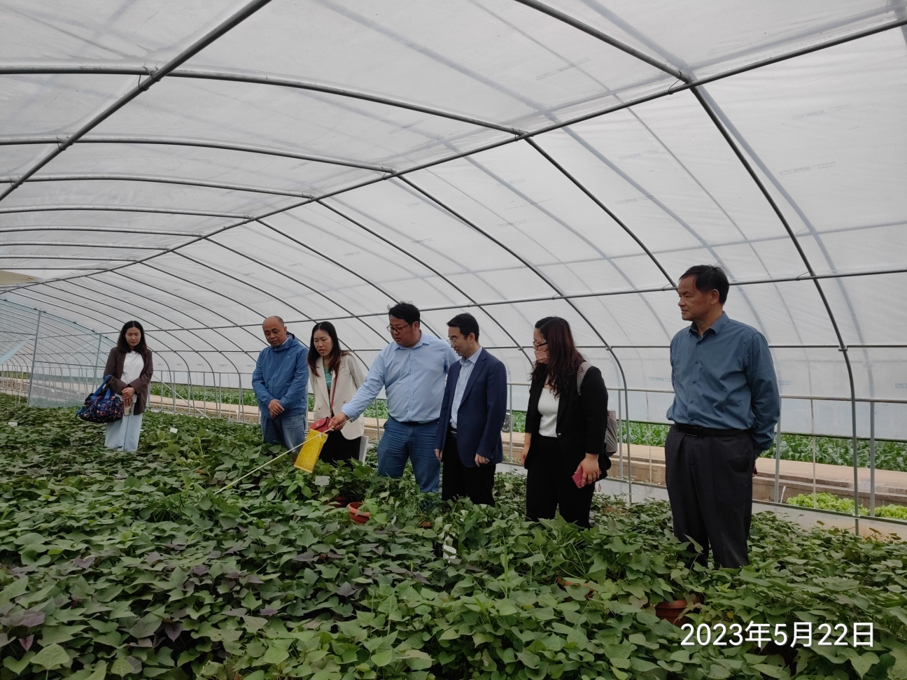 Bodog����-�����ɾͷǷ�,����Ʒ������