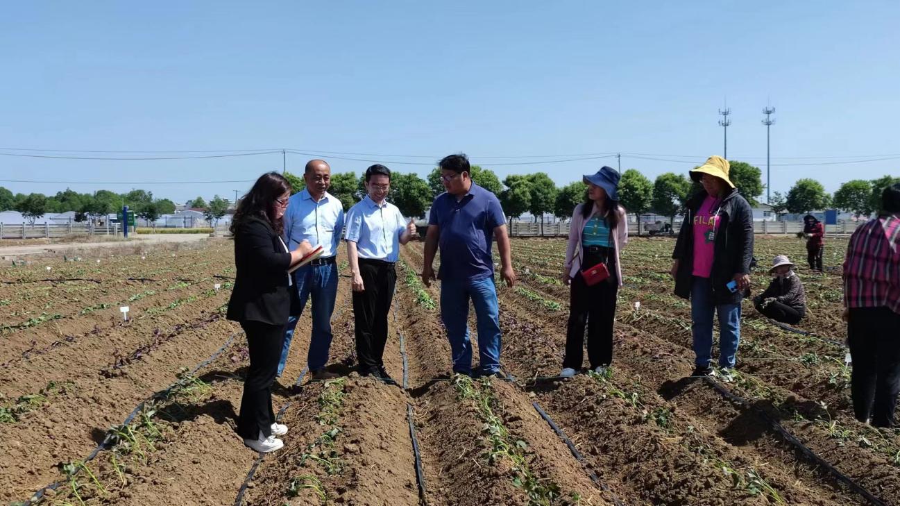 Bodog����-�����ɾͷǷ�,����Ʒ������